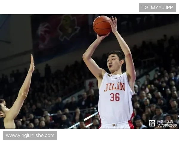 代怀博的成长之路与未来发展展望:探索新机遇与挑战的交汇点